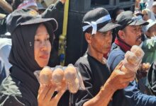 DPRD Jatim Turun Tangan Redam Harga Telur Anjlok, 5 Langkah Untuk Tekan Oversuplai dan Jaga Peternak