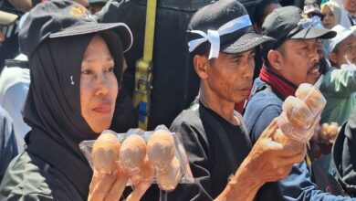 DPRD Jatim Turun Tangan Redam Harga Telur Anjlok, 5 Langkah Untuk Tekan Oversuplai dan Jaga Peternak