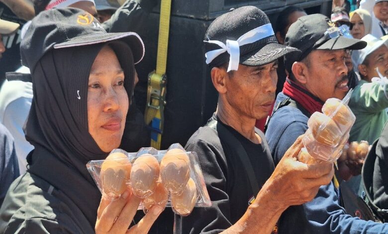 DPRD Jatim Turun Tangan Redam Harga Telur Anjlok, 5 Langkah Untuk Tekan Oversuplai dan Jaga Peternak