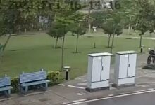 Kenapa Pohon Sering Jadi Sasaran Petir, 5 Fakta Ini Bikin Orang Tak Lagi Sembarangan Berteduh
