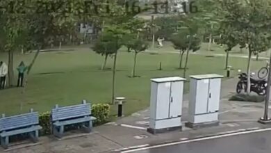 Kenapa Pohon Sering Jadi Sasaran Petir, 5 Fakta Ini Bikin Orang Tak Lagi Sembarangan Berteduh