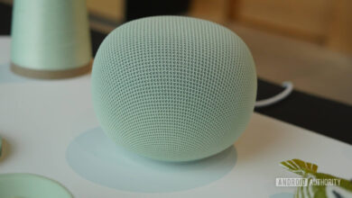 Google Home Akhirnya Bisa Putar SiriusXM Lagi, Bug Berminggu-Minggu Resmi Beres