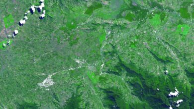 Kuk Swamp Mengubah Sejarah Pertanian, Jejak 10.000 Tahun yang Mematahkan Teori Lama